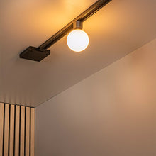 Cargar imagen en el visor de la galería, Lámpara para riel monofásico aluminio negro vidrio opal Ø10 cm 1xG9 - LUFO0022