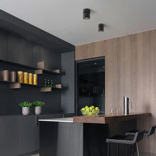 Cargar imagen en el visor de la galería, Foco sobrepuesto dimeable aluminio negro basculante Ø 9 cm LED 10W - TOFO0088