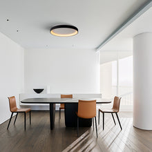 Cargar imagen en el visor de la galería, Plafón aluminio negro difusor acrílico Ø 38 cm LED 30W - OYPL0005