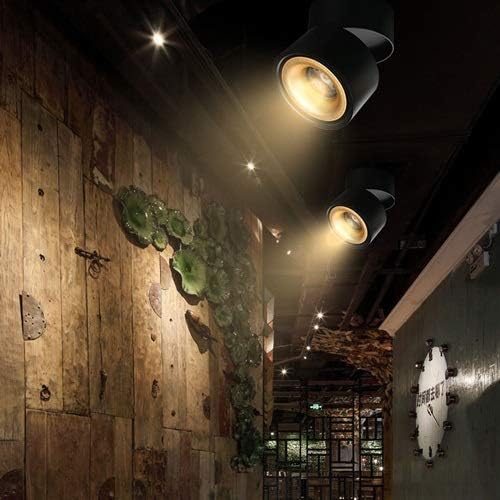 Foco sobrepuesto dimeable aluminio negro dorado Ø 10 cm LED 12W - TOFO0079
