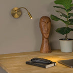 Aplique lectura brazo flexible recargable con cable USB Ø11 LED 2W - LUAP0162