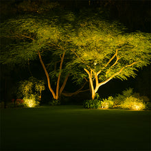 Cargar imagen en el visor de la galería, Estaca jardín vidrio templado negro IP65 Ø6.7x28.8 cm GU10 - MUES0007
