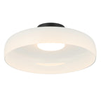 Plafón vidrio opal + metal negro LED 15W Ø42cm - ONPL0004