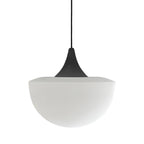 Lámpara colgante metal negro vidrio opal Ø22cm E27 - RILC0012