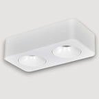 Plafon metal blanco cm  2 luces 18W LED - TOPL0019