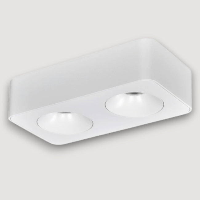 Plafon metal blanco cm  2 luces 18W LED - TOPL0019