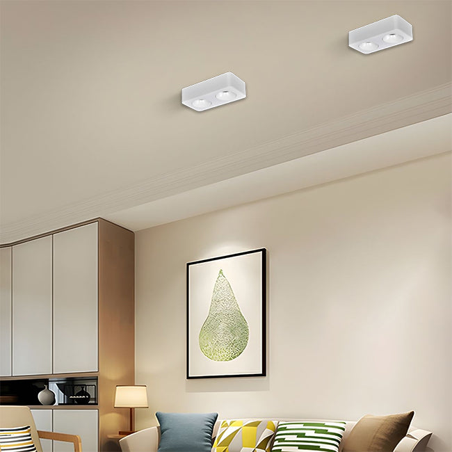 Plafon metal blanco cm  2 luces 18W LED - TOPL0019