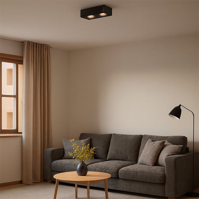 Plafon metal negro cm  2 luces 18W LED  - TOPL0020