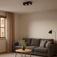 Cargar imagen en el visor de la galería, Plafon metal negro cm  2 luces 18W LED  - TOPL0020
