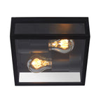 Plafón metal vidrio negro exterior IP65  Ø 22x8,7cm 2 luces E27 - LUPL0042