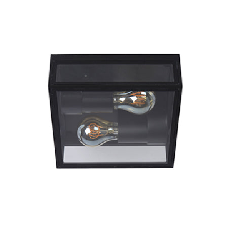 Plafón metal vidrio negro exterior IP65  Ø 22x8,7cm 2 luces E27 - LUPL0042