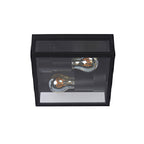 Plafón metal vidrio negro exterior IP65  Ø 22x8,7cm 2 luces E27 - LUPL0042