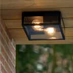 Plafón metal vidrio negro exterior IP65  Ø 22x8,7cm 2 luces E27 - LUPL0042