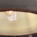 Lámpara colgante cerámica gres 3 luces E27 - A pedido
